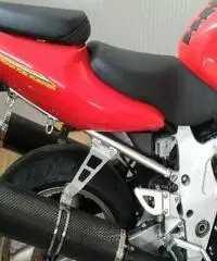 SUZUKI TL 1000 Export price www.actionbike.it