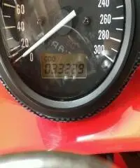 SUZUKI TL 1000 Export price www.actionbike.it