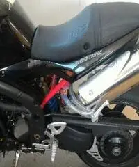 TRIUMPH Speed Triple 1050 Export price www.actionbike.it