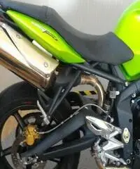 TRIUMPH Street Triple 675 Export price www.actionbike.it