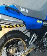 YAMAHA TDR 250 Export price www.actionbike.it