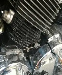 YAMAHA XVS 650 Export price www.actionbike.it YAMAHA XVS 650 Export price www.actionbike.it
