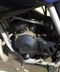 APRILIA Pegaso tipo veicolo Enduro cc 50 APRILIA Pegaso tipo veicolo Enduro cc 50