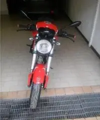 bella ducati monster695 bella ducati monster695
