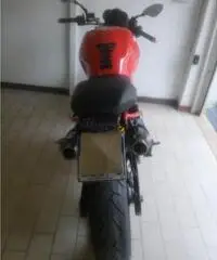 bella ducati monster695 bella ducati monster695