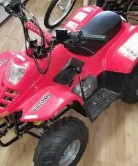 Italjet Moto Shopping 50 Italjet Moto Shopping 50