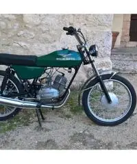 Moto Guzzi Nibbio 50