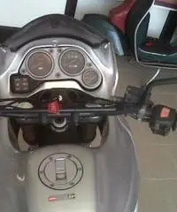 APRILIA Pegaso tipo veicolo Turismo cc 650 APRILIA Pegaso tipo veicolo Turismo cc 650