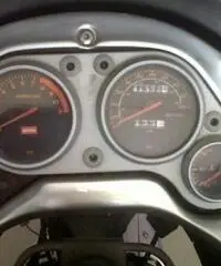 APRILIA Pegaso tipo veicolo Turismo cc 650 APRILIA Pegaso tipo veicolo Turismo cc 650