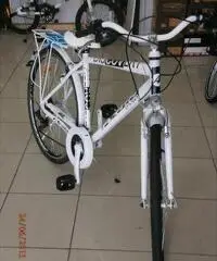 CITY-BIKE 28 ATALA TELAIO IN ALLUMINIO KM ZERO CITY-BIKE 28 ATALA TELAIO IN ALLUMINIO KM ZERO