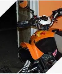 Quad goes 350s