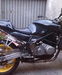 Vendo Laverda Ghost 668 Vendo Laverda Ghost 668