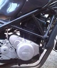 Vendo Laverda Ghost 668 Vendo Laverda Ghost 668