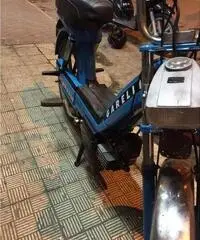 Garelli noi 50 Garelli noi 50
