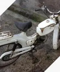 Motorino Ducati d'epoca - Anni 60 Motorino Ducati d'epoca - Anni 60