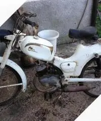 Motorino Ducati d'epoca - Anni 60 Motorino Ducati d'epoca - Anni 60