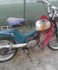 Ciclomotori d'epoca guzzi Ciclomotori d'epoca guzzi
