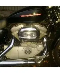 HARLEY DAVIDSON 883 HARLEY DAVIDSON 883