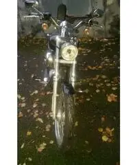 HARLEY DAVIDSON 883 HARLEY DAVIDSON 883
