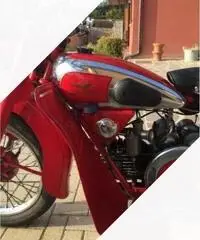Moto Guzzi Altro modello - Anni 40 Moto Guzzi Altro modello - Anni 40