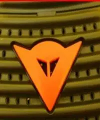 Paraschiena Dainese (proteggischiena moto cross) Paraschiena Dainese (proteggischiena moto cross)