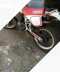 TT 600 59 xs TT 600 59 xs