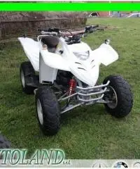 ADLY Super Sonic 50 Quad 4 Tempi 50cc ADLY Super Sonic 50 Quad 4 Tempi 50cc