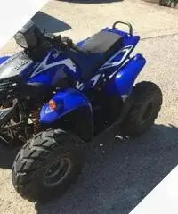 Altro Altro modello - 2007