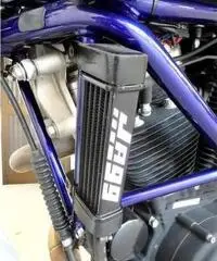Buell X1 p38- lightnineg Edition? ESEMPLARE UNICO Buell X1 p38- lightnineg Edition? ESEMPLARE UNICO