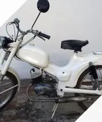 Ducati Altro modello - Anni 50 Ducati Altro modello - Anni 50