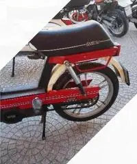 Fantic Motor Altro modello - 1981 Fantic Motor Altro modello - 1981