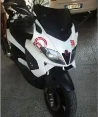GILERA Nexus tipo veicolo Scooter cc 500