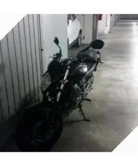 Gladius 650 anno 4/2014 Gladius 650 anno 4/2014