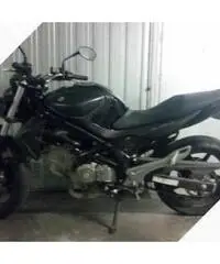 Gladius 650 anno 4/2014 Gladius 650 anno 4/2014