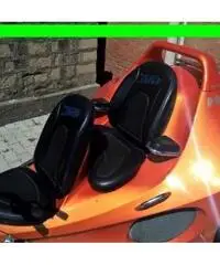 HARLEY-DAVIDSON FLHRC Road King Classic easy trike taifun 1.6 110cv