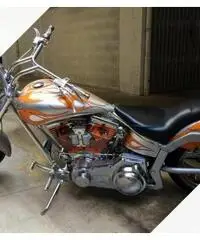 Harley Davidson Special Arlen Ness Harley Davidson Special Arlen Ness