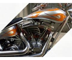 Harley Davidson Special Arlen Ness