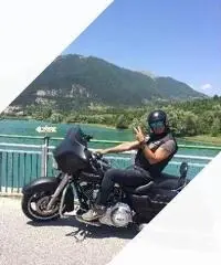 Harley-Davidson Touring Street Glide - 2011 Harley-Davidson Touring Street Glide - 2011