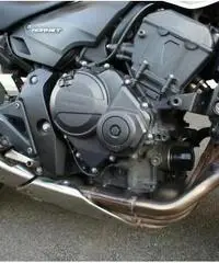 Honda Hornet 600, Manutenzione curata, Tagliandi certificati, Uniproprietario