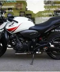 Honda Hornet 600, Manutenzione curata, Tagliandi certificati, Uniproprietario