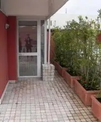 Affitto Appartamento a Bari Affitto Appartamento a Bari