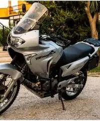 Honda XL 650 V Transalp anno 2001