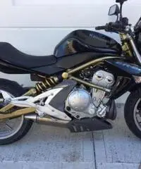 KAWASAKI ER-6N nached KAWASAKI ER-6N nached