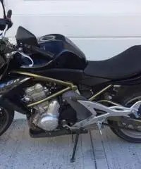 KAWASAKI ER-6N nached KAWASAKI ER-6N nached