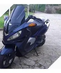 Malaguti Madison 150 - 2001 Malaguti Madison 150 - 2001