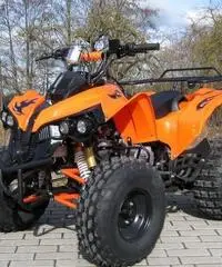 MINIQUAD 125cc 4 TEMPI PREDATOR TELECOMANDO QUAD MINI SUPER OFFERTE