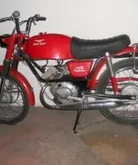 Moto Guzzi Dingo 50 GT 1972 Moto Guzzi Dingo 50 GT 1972