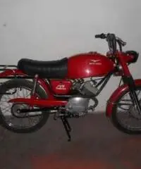 Moto Guzzi Dingo 50 GT 1972 Moto Guzzi Dingo 50 GT 1972