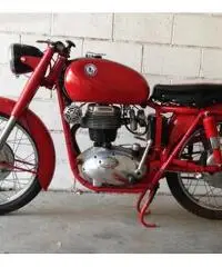 Moto Perugina 175 GT del 1953 Aermacchi MV Augusta Moto Guzzi