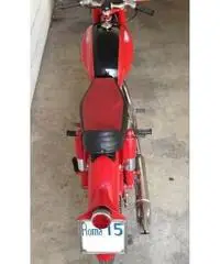 Moto Perugina 175 GT del 1953 Aermacchi MV Augusta Moto Guzzi